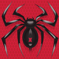 Spider Solitaire Card Game