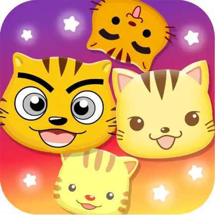 星猫广场-快乐星猫粉丝的家 Читы