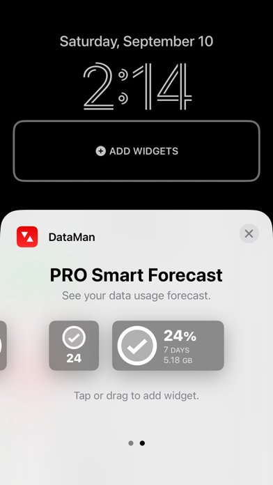 Screenshot #2 for DataMan - Data Usage Widget