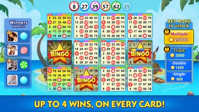 Bingo Lucky - Story bingo Game Screenshot