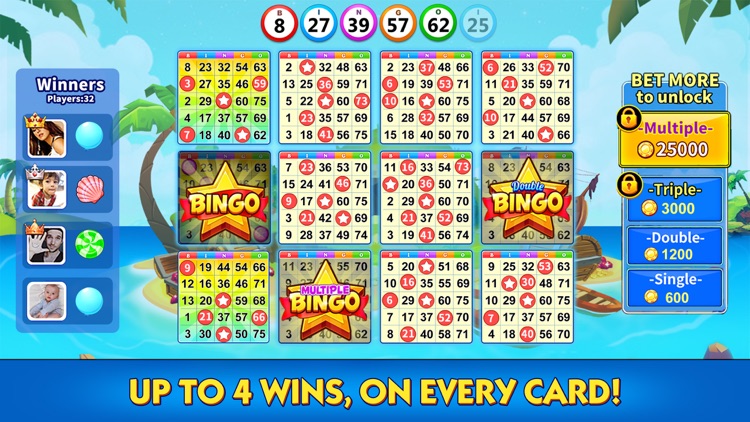 Bingo Lucky - Story bingo Game screenshot-3