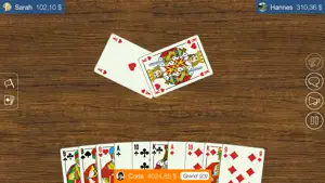 Skatstube Skat screenshot 1
