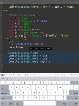 Visual Basic (VB.NET) Compiler screenshot 8