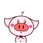 Pink Piggy 02 App Contact