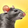 Rat Stickers: Pizza, Burger... - iPadアプリ