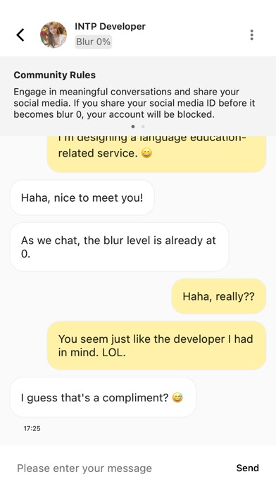 Blurry - Blind Dating Screenshot on iOS