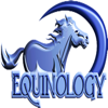Equine Anatomy Learning Aid - Equi-Ink Publications, LLC