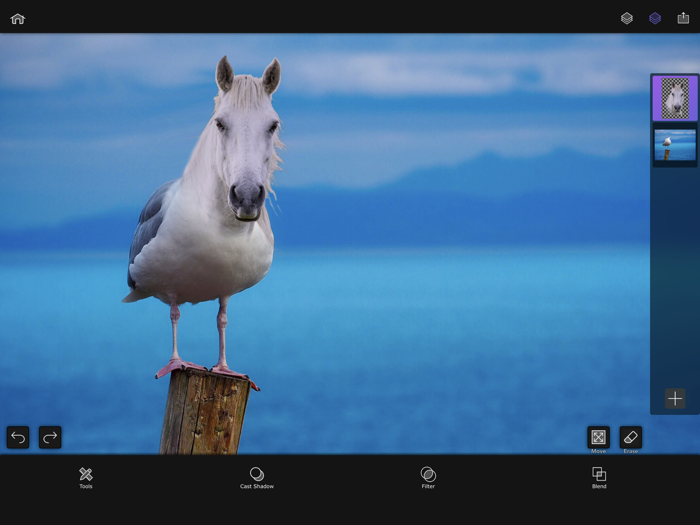 Superimpose AI - Change BG