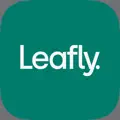 Leafly Find Weed Near You