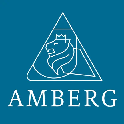 Stadt Amberg Читы