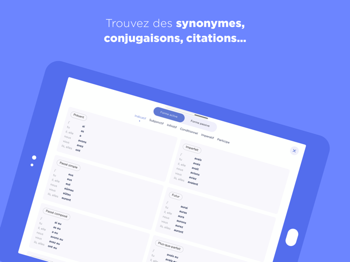 Dictionnaire Larousse français