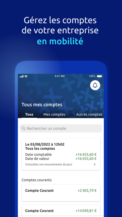 Screenshot #1 pour Banque Populaire PRO