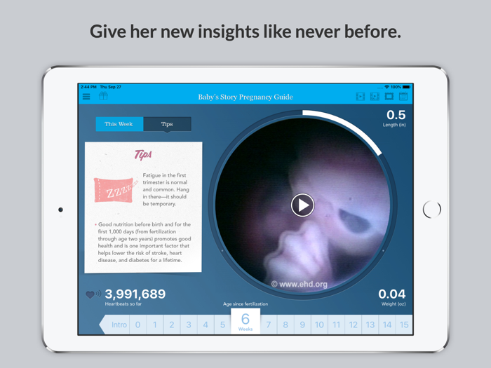 Babys Story Pregnancy Guide