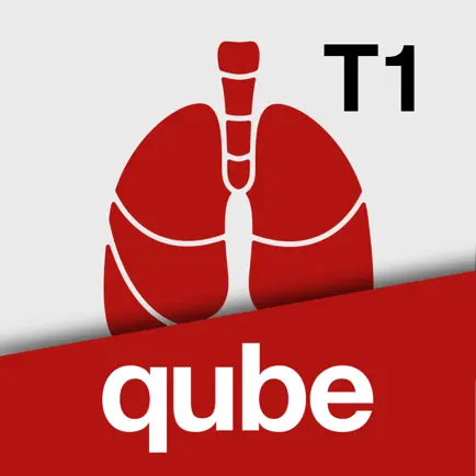 qubeT1 Читы
