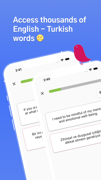 Duolang Turkish English Screenshot