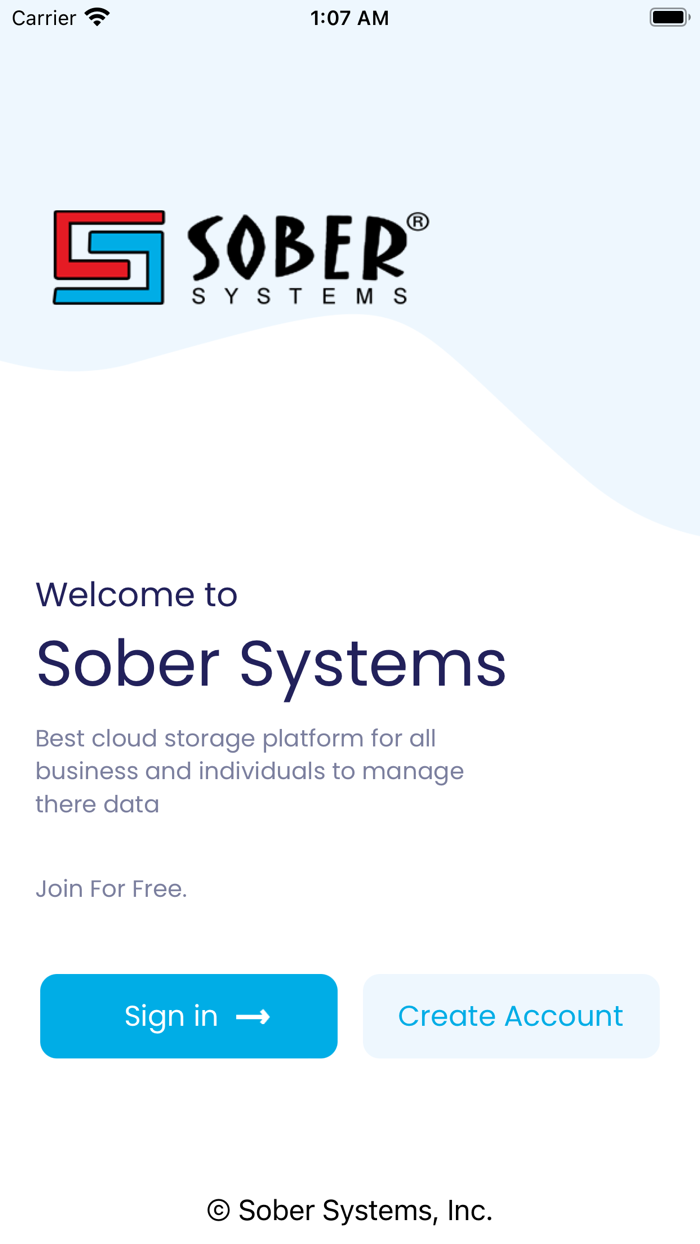 Sobersystems