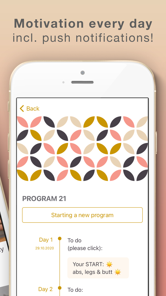 Program 21 Home Workouts