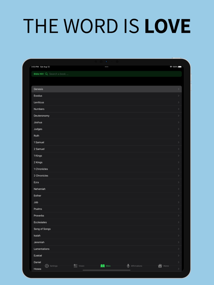 Manifest - Gods Vision