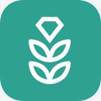 VPN Rice Fast and Secure Proxy