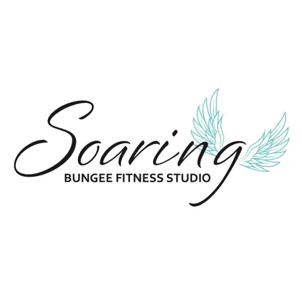 Soaring Bungee Fitness Studio Читы
