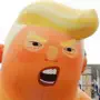 Orange Genius