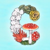 Gucci Kids Playground icon