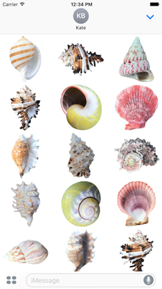 Shells! screenshot 2
