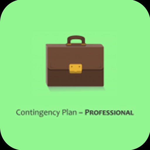 Contingency Plan-Professional