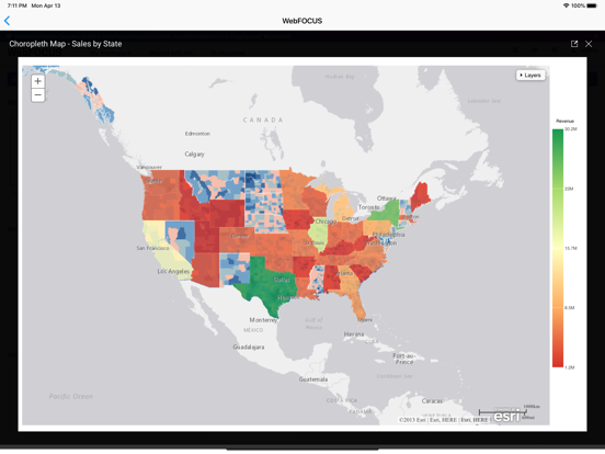 ibi™ WebFOCUS® iPad screenshot 4 - Business app