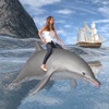Dolphin Transport Game