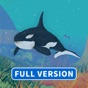 Animal Wild Safari (Full) app download