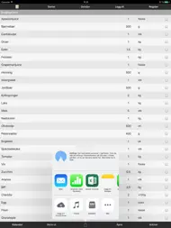 Handlelister ipad bilder 2