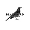 Blackbird Barbers icon
