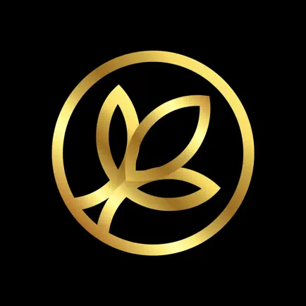 YouApp - Connecting People Читы