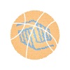 PEAK Hoops Seattle icon