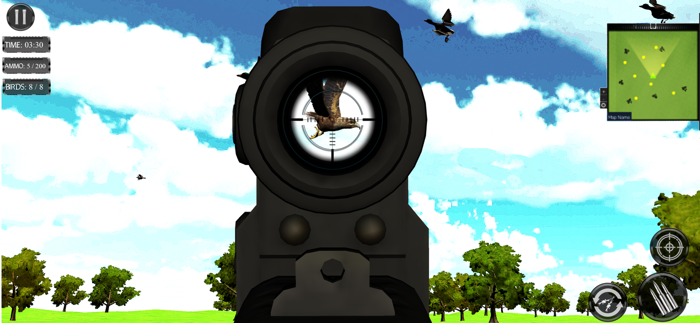 Birds of Prey Wild Wings Hunt