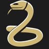 Classic snake game reinvented icon