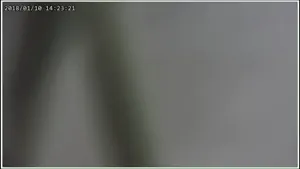 GuardView screenshot 3