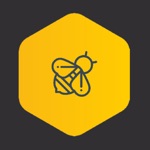 Download Bumblebee app