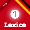 Lexico Verstehen 1 (D) Pro - Pappy GmbH