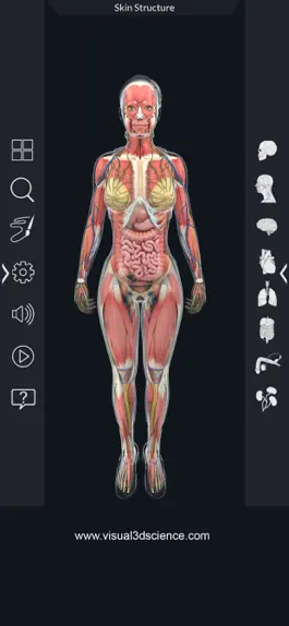 Game screenshot Human Anatomy hack