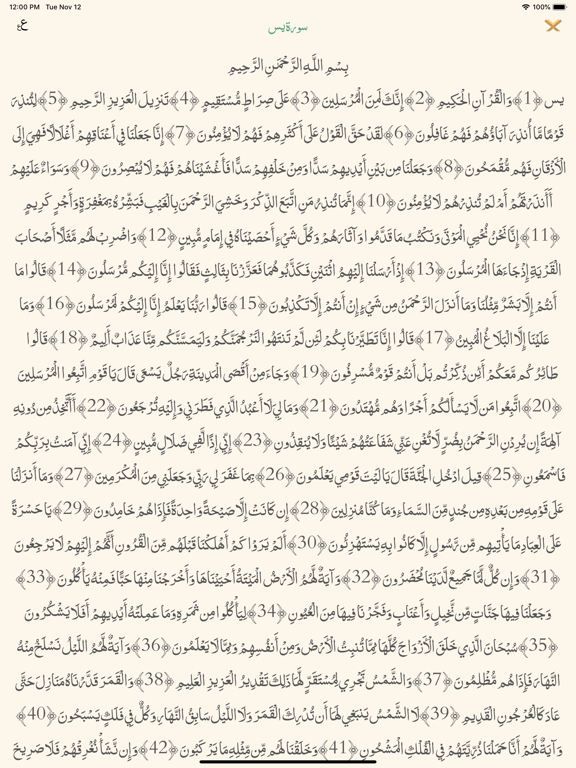 Screenshot #4 pour Quran | القرآن الكريم