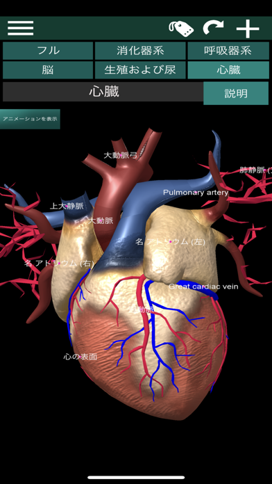 3D内臓（解剖学）のおすすめ画像5