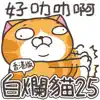 白爛貓25 超崩壞 (HK) App Support