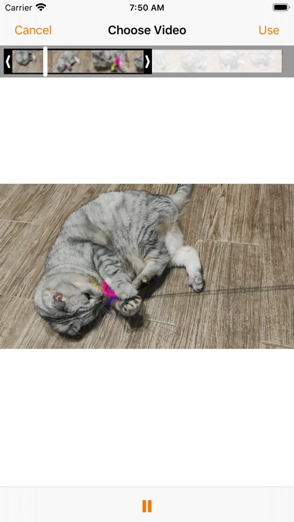 Pictello Visual Stories screenshot-3