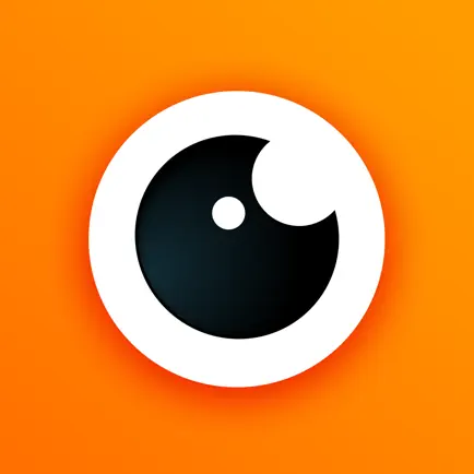 Narative — творческий партнер Читы