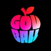 Gov Ball icon