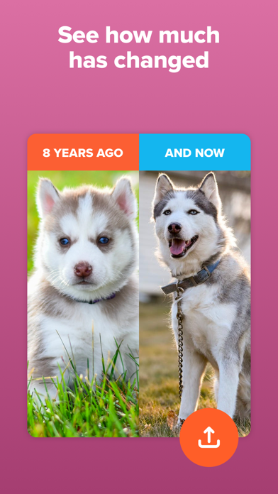 Screenshot #3 pour Timehop - Memories Then & Now