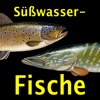 Europäische Süßwasserfische icon