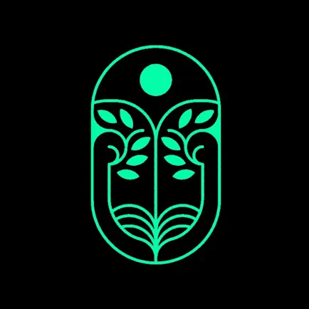 SOLTREE Читы